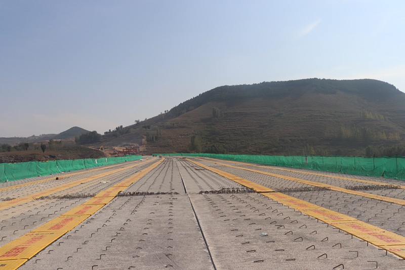 IMG_5501_副本 IMG_5501_副本