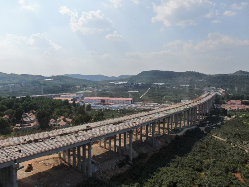 6-6、6月27日臨臨高速六標(biāo)苗莊特大橋圓滿完成全部T梁架設(shè)_副本