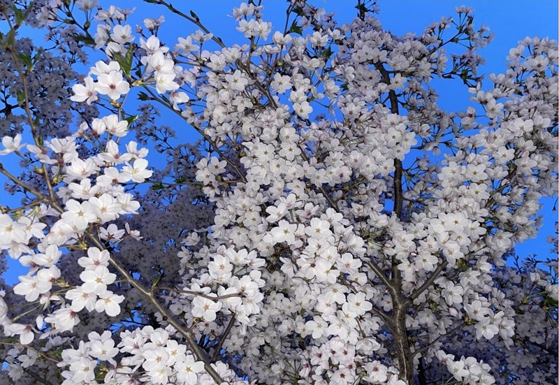 圖片3_副本 圖片3_副本