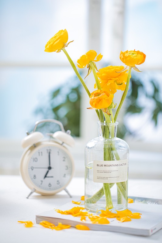 春將遠(yuǎn)，夏將至