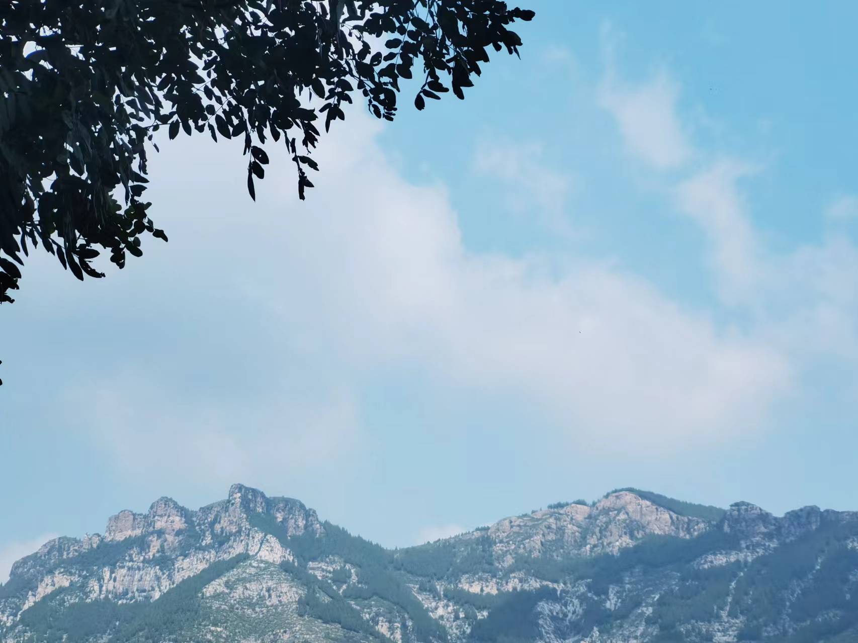 走走停停，不虛此行