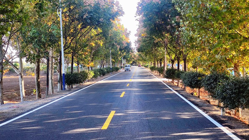 微信圖片_20231101142838_副本