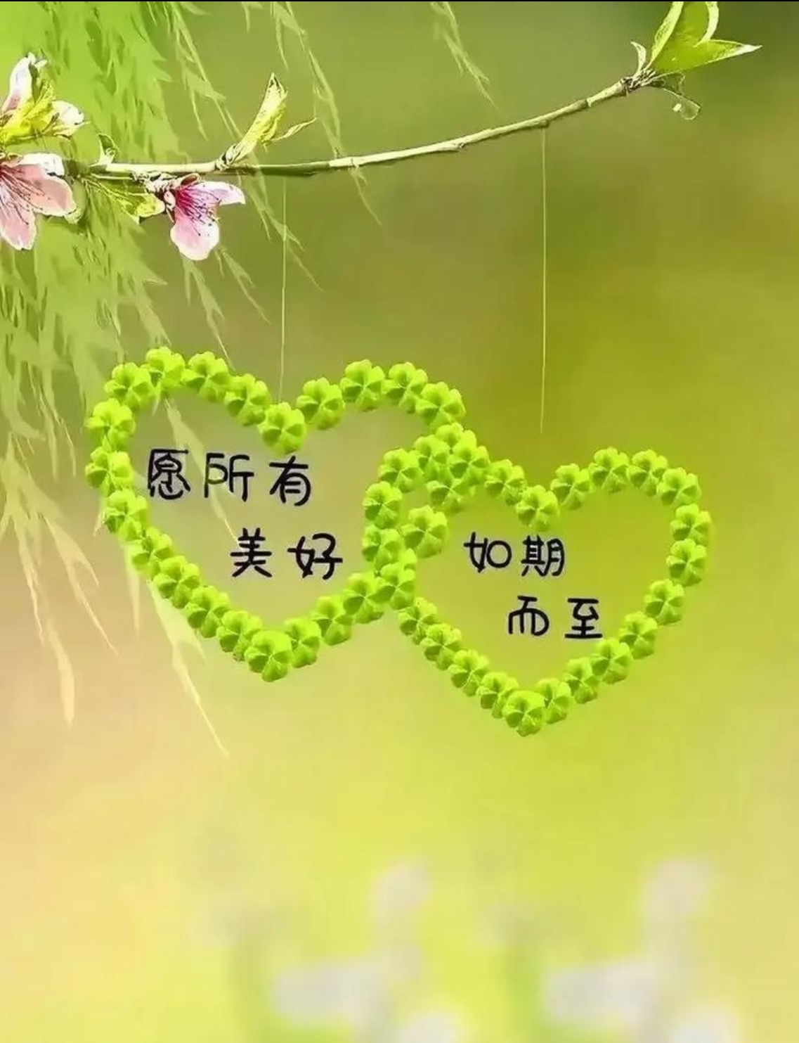 廿載情誼，重逢見暖陽(yáng)