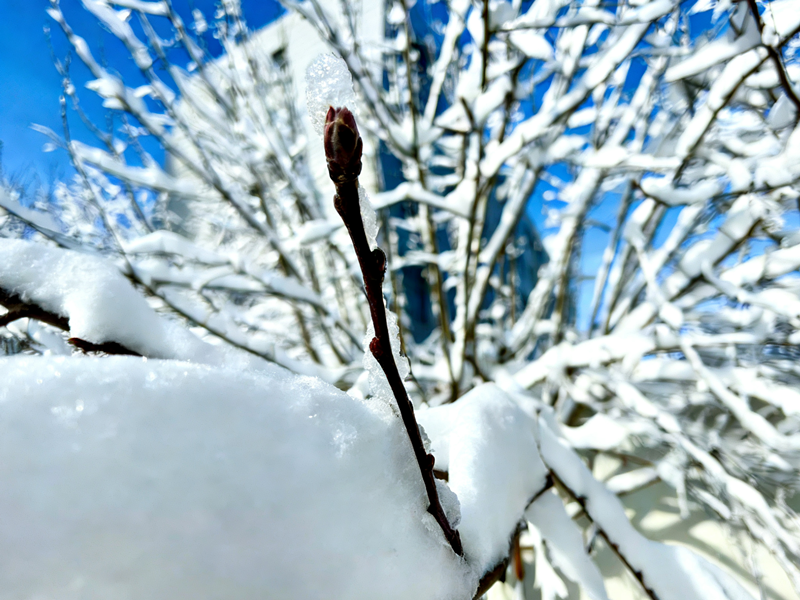 微信圖片_20251225094753_244_173_副本 微信圖片_20251225094753_244_173_副本