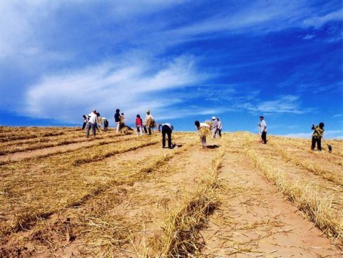 觀《我和我的家鄉(xiāng)》有感