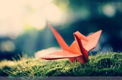 平凡的崗位，不平凡的你