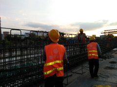 遷徙的候鳥(niǎo)，領(lǐng)略不一樣的風(fēng)景