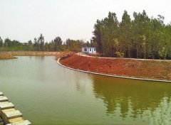 孝婦河畔，我們?cè)娨獾纳钪? /> 
          </div> 
         </div> 
         <div   id=