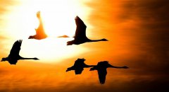 12月，你好！11月，再見！