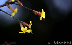 春分將至，我在等你——致徐徐爬行的你