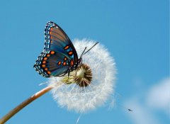 改變，從魯中公路開始