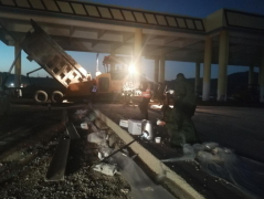 不畏風霜摧折苦