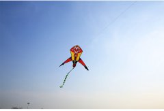 被拴住的“齊天大圣”