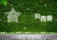 做好青春事，無悔公路情