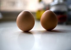 讓雞蛋立起來(lái)