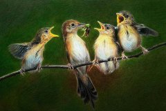 世間最偉大的愛(ài)