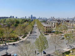 工地寫真：炎炎夏日 共青團(tuán)路展大干風(fēng)采