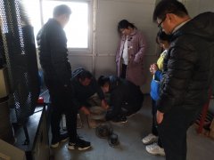 為則通達(dá)，學(xué)無(wú)止境