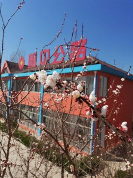 入職一周年有感