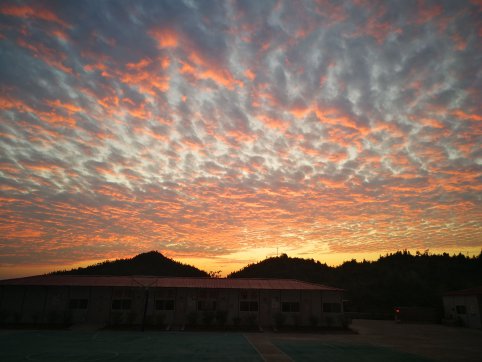 這里的黎明靜悄悄