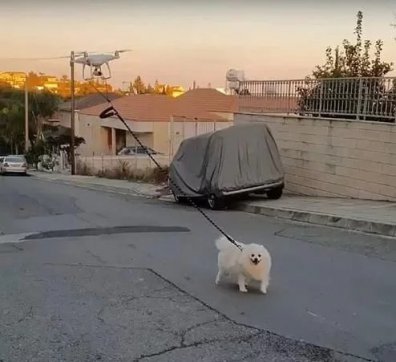 知恥而后勇，知弱而圖強(qiáng)