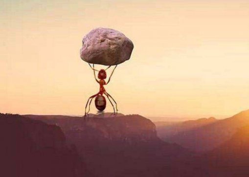 能扛事，不惹事，不怕事！