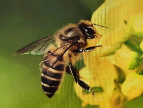 給誰打工？——從“抓作風 創(chuàng)效益”想到的